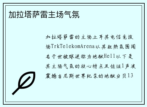 加拉塔萨雷主场气氛